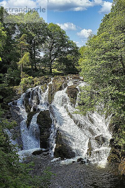 Wasserfall Swallow Falls  Fluss Llugwy  Betws-y-Coed  Conwy  Snowdonia Nationalpark  Wales  Großbritannien  Europa