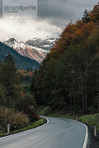 Straße in einem Bergtal  Bregenzerwaldstraße  Vorarlberg  Österreich  Europa