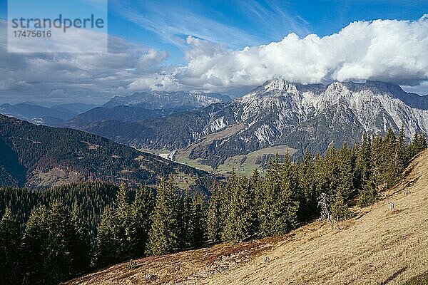 Gebirgsgruppe Leoganger Steinberge  Ostalpen  Österreich  Europa