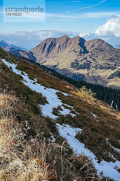 Blick auf den Gipfel Pründelkopf  Großer Asitz  Saalbach  Österreich  Europa