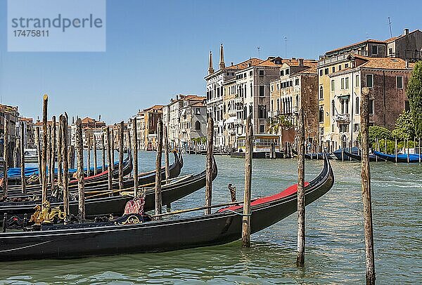 Gondeln und Canal Grande  Canal Grande  Venedig  Italien  Europa