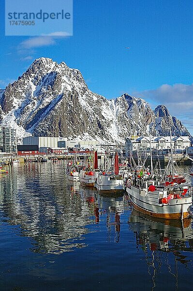 Traditionelle Fischerboote im Hafen von Svolvaer  schneebedeckte Berge im Winter  Nordland  Lofoten  Skandinavien  Norwegen  Europa