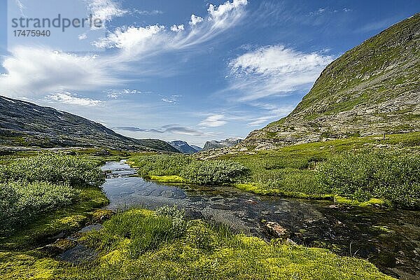 Hochebene mit kleinen Seen und Mooren  Gletschertal  Geirangerfjord  Geiranger  Møre og Romsdal  Vestland  Norwegen  Europa