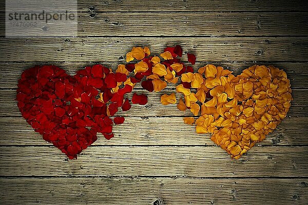 Zwei Rosenblüten Herzen Verbindung auf Holz Hintergrund. Romantische Beziehung Konzept. Attachment und Liebe Symbol  geben und Austausch von Gefühlen und Emotionen der Liebe