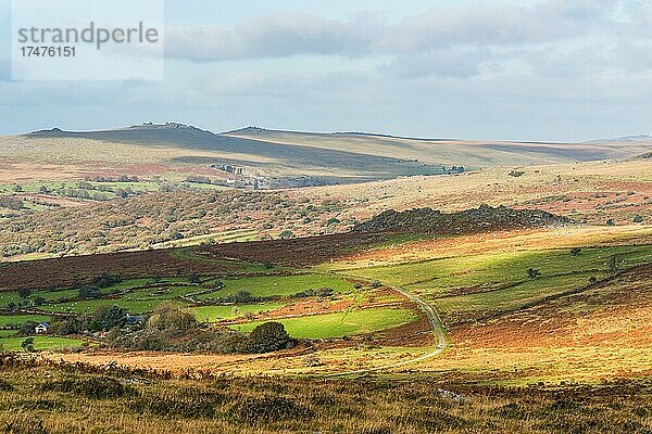 Herbstfarben über dem Dartmoor Park  Devon  England  Großbritannien  Europa