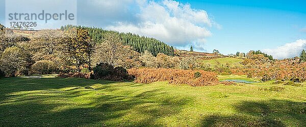 Panorama über den Fluss Dart in Herbstfarben  Dartmoor Park  Devon  England  Großbritannien  Europa