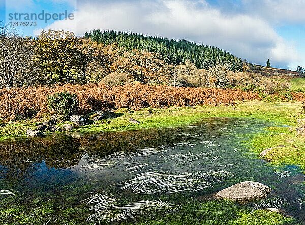 Gefrorenes Gras in Herbstfarben über dem Fluss Dart in Langzeitbelichtung  Dartmoor Park  Devon  England  Großbritannien  Europa