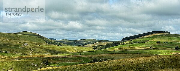 Hochebene von Cezallier im regionalen Naturpark der Vulkane der Auvergne  Departement Puy de Dome  Auvergne-Rhone-Alpes  Frankreich  Europa