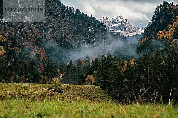 Blick auf das Karhorn  Hinterhopfreben  Vorarlberg  Österreich  Europa