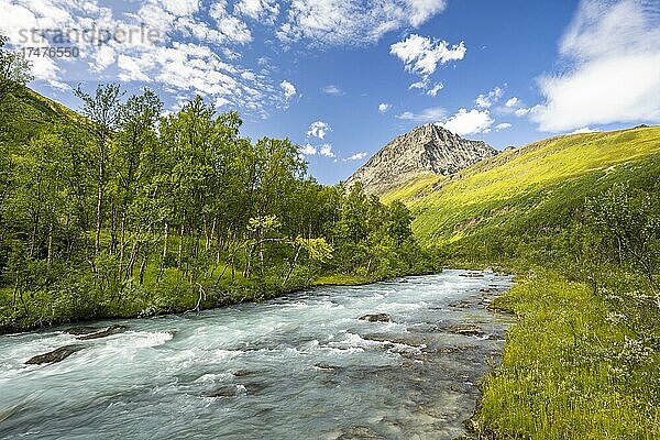 Gletscherfluss Gievdanjohka im Gletschertal Steindalen  Wanderung zum Gletscher Steindalsbreen  Lyngenfjord  Lyngenalpen  Troms og Finnmark  Norwegen  Europa