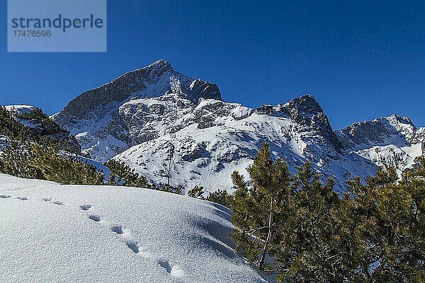 Alpsitze und Bergstation der Alpspitzbahn  Garmisch-Partenkirchen  Oberbayern  Deutschland  Europa