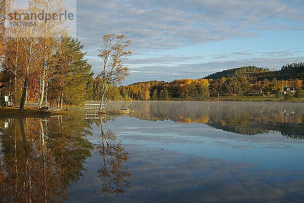 Morgennebel  Herbstlandschaft spiegelt sich im ruhigen Wasser eines Sees  Bullaren  Vasstoppen  Bohuslän  Skandinavien  Schweden  Europa