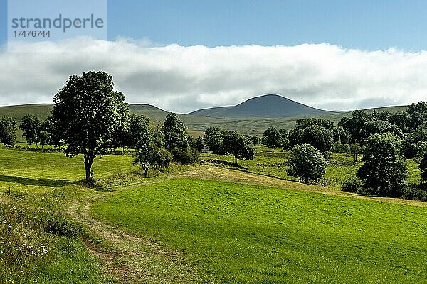 Blick auf den Berg Chamaroux vom Dorf Montgreleix aus  Regionaler Naturpark der Vulkane der Auvergne  Departement Puy de Dome  Auvergne Rhône Alpes