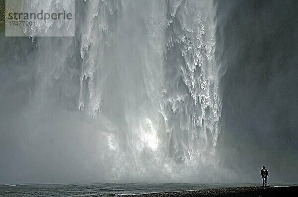 Mensch vor stürzenden Wassermassen eines Wasserfalls  Skogafoss  Island  Europa