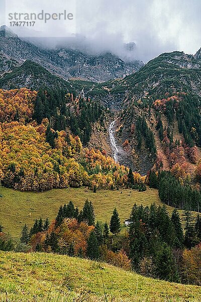 Wasserfall an der Hockünzelspitze  Hinterhopfreben  Bregenzerwald  Vorarlberg  Österreich  Europa