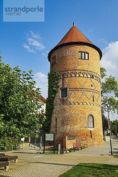 Amtsturm  Lübz  Mecklenburg-Vorpommern  Deutschland  Europa