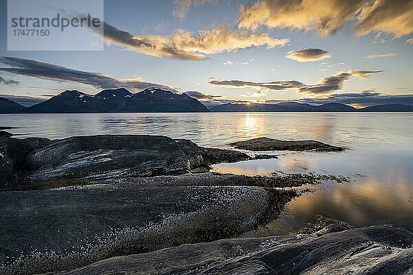 Felsige Küste bei Lattervik  Sonnenuntergang  Lyngenalpen  Ullsfjord  Troms og Finnmark  Norwegen  Europa
