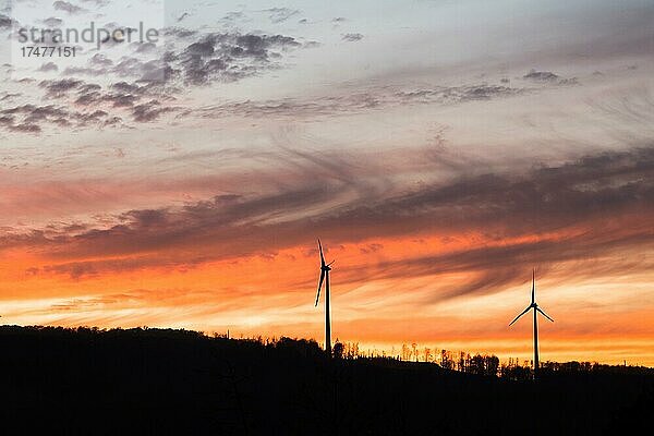 Windräder im Abendlicht  Hessen  Deutschland  Europa