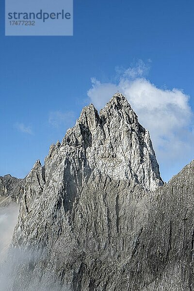 Felsiger Berggipfel mit Gipfelkreuz  Nordöstliche Partenkirchener Dreitorspitze  Wettersteingebirge  Bayern  Deutschland  Europa