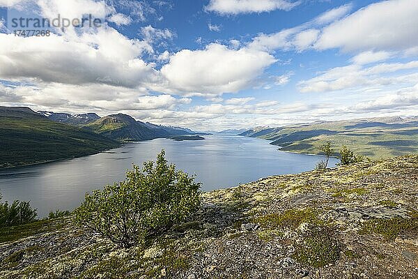 Blick vom Falsnestinden in den Lyngenfjord  Skibotn  Troms og Finnmark  Norwegen  Europa