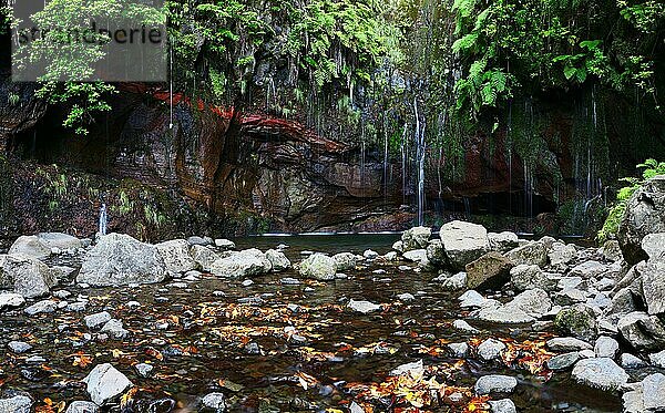 Quellen speisen den 25 fontes levada Wasserweg auf Madeira  Portugal  Europa