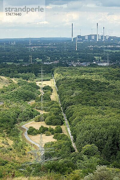 Halde Haniel  Blick Richtung Osten  Kraftwerk Scholven  Bottrop  Ruhrgebiet  Nordrhein-Westfalen  Deutschland  Europa