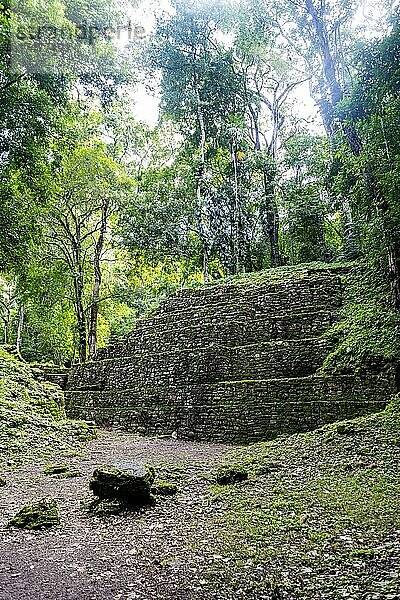 Archäologische Maya-Stätte Yaxchilan im Dschungel von Chiapas  Mexiko  Mittelamerika