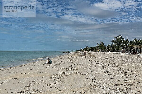 Weißer Sandstrand im Unesco-Biosphärenreservat Rio Celestun  Yucatan  Mexiko  Mittelamerika