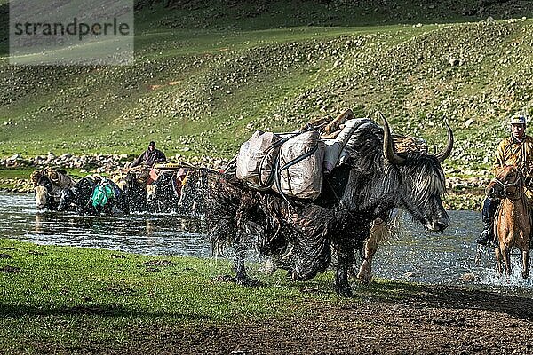 Die Nomadenfamilie zieht mit Yaks in den Sommer. Provinz Bayanhongor  Mongolei  Asien