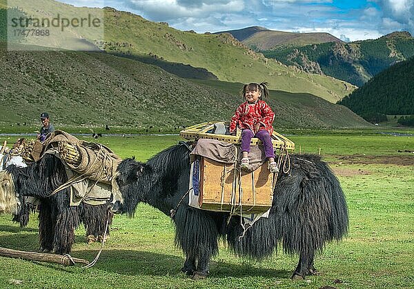 Die Nomadenfamilie zieht mit Yaks in den Sommer. Provinz Bayanhongor  Mongolei  Asien