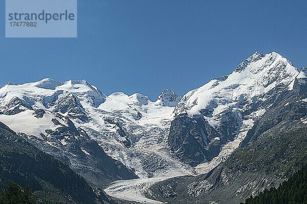 Piz Bernina und sein Gletscher  St. Moritz  Engadin  Schweiz  Europa