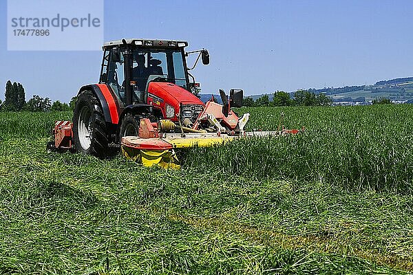 Landwirt beim Gras mähen  Traktor Massey Ferguson 4355  Schweiz  Europa