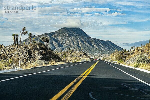 Straße zum Vulkan El Pizarro  Puebla  Mexiko  Mittelamerika