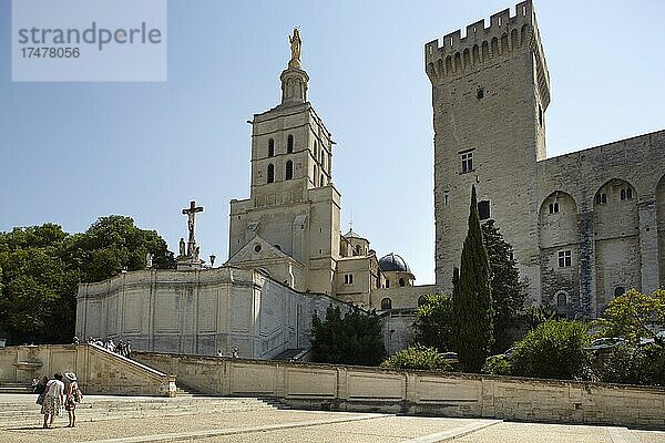 Papstpalast  Avignon  Provence-Alpes-Côte d'Azur  Frankreich  Europa
