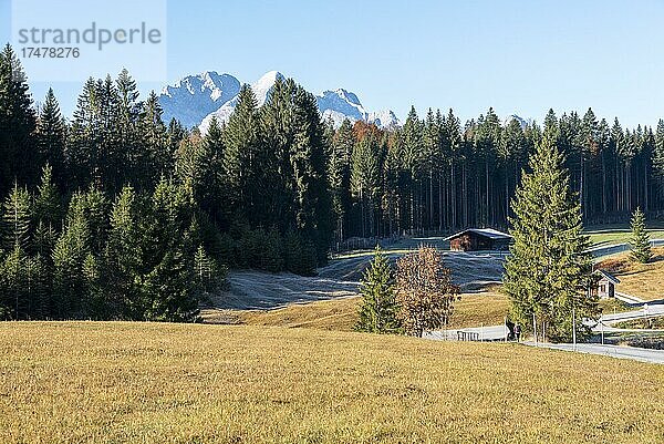 Herbstwald mit Blick auf Zugspitzmassiv  Krün  Bayern  Deutschland  Europa