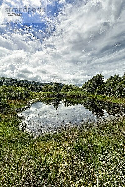 Teich im Biosphärenreservat UNESCO Dyfi Biosphere  Dyfi Wildlife Centre  Machynlleth  Powys  Wales  Großbritannien  Europa