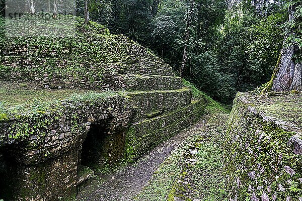 Archäologische Maya-Stätte Yaxchilan im Dschungel von Chiapas  Mexiko  Mittelamerika