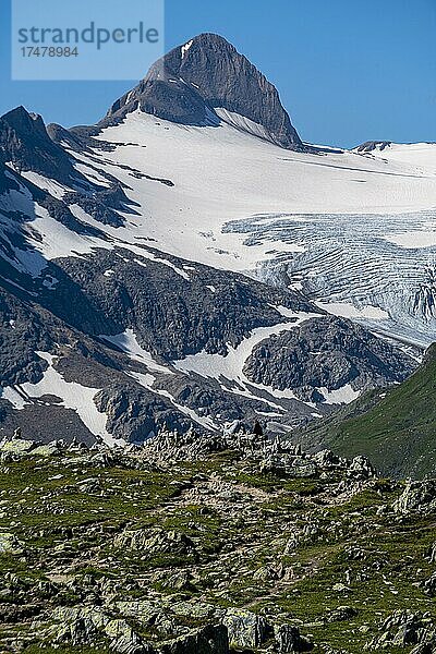 Griesgletscher  Nufenenpass  Schweiz  Europa