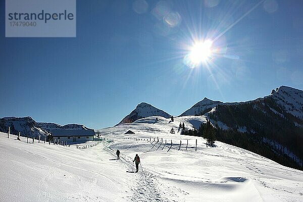 Schneeschuhtour in winterlicher Berglandschaft bei traumhaftem Wetter  Feichtenstein Alm  Ausblick auf Gennerhorn  Gruberhorn und Regenspitz  Hintersee  Salzburg  Österreich  Europa