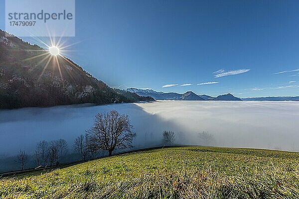 Nebelmeer über der Region Vitznau  Luzern  Schweiz  Europa