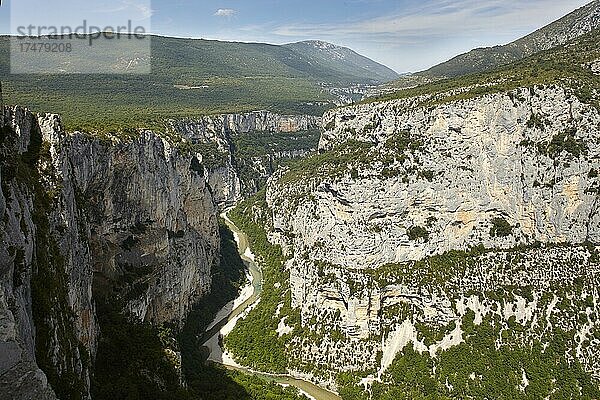 Blick in die Verdonschlucht  Grand Canyon du Verdon  Département Alpes-de-Haute-Provence  Provence  Frankreich  Europa