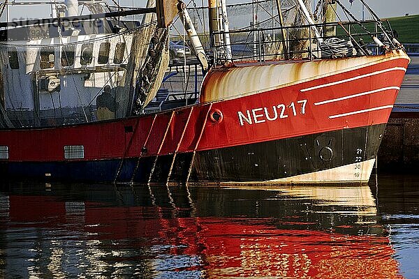 Krabbenkutter im Fischereihafen  Neuharlingersiel  Ostfriesland  Niedersachsen  Deutschland  Europa