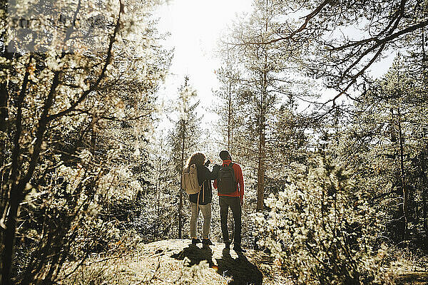 Rückansicht eines Paares  das an einem sonnigen Tag im Wald steht
