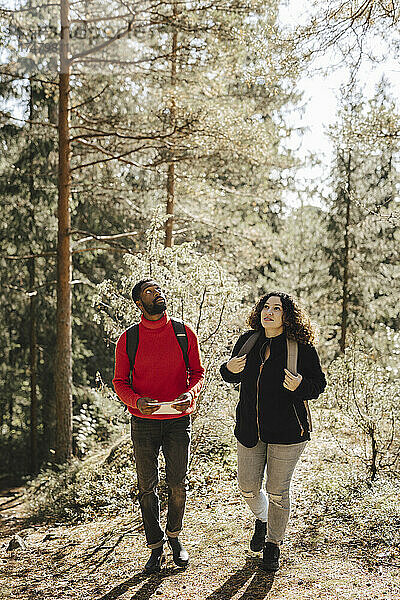 In voller Länge von multirassischen Paar zu Fuß im Wald an einem sonnigen Tag