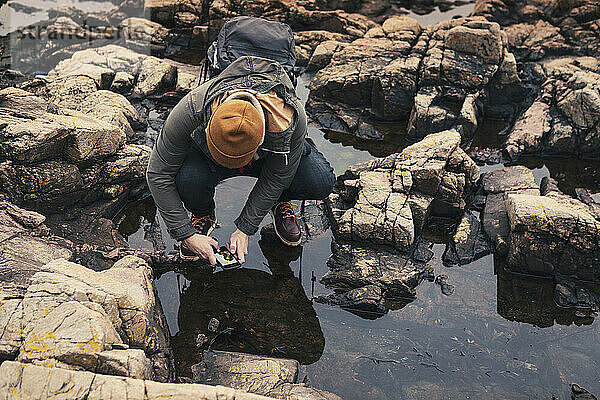 Hohe Winkelansicht eines Mannes  der mit seinem Smartphone Fische in einem Gezeitenbecken fotografiert