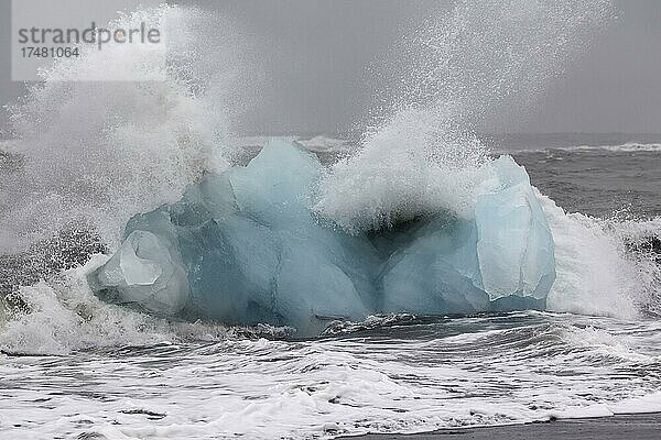 Blauer Eisberg in der Brandung  schwarzer Lavastrand Diamond Beach  nahe Gletscherlagune Jökulsárlón  Austurland  Island  Europa