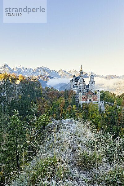 Schloss Neuschwanstein im Herbst  bei Schwangau  Ostallgäu  Allgäu  Schwaben  Bayern  Deutschland  Europa