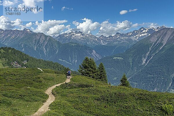 Landschaft und Wanderer am Panorama-Wanderweg  Bettmeralp  Wallis  Schweiz  Europa