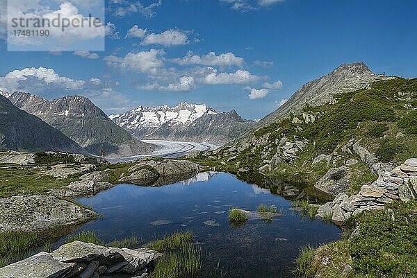 Kleiner Bergsee mit Bettmerhorn und dem Weltnaturerbe Aletschgletscher  Riederalp  Wallis  Schweiz  Europa