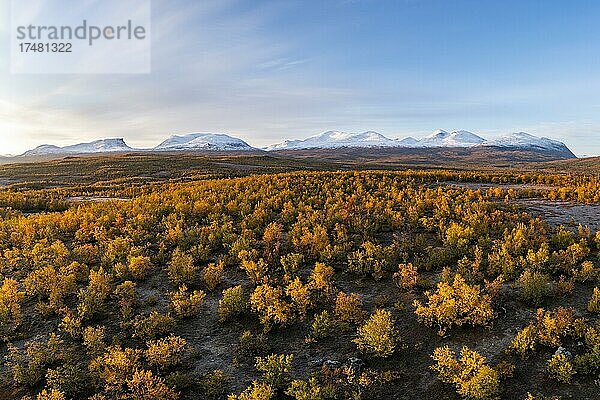 Herbstliche Fjälllandschaft vor verschneiter Berggruppe Lapporten  Abisko  Lappland  Schweden  Europa